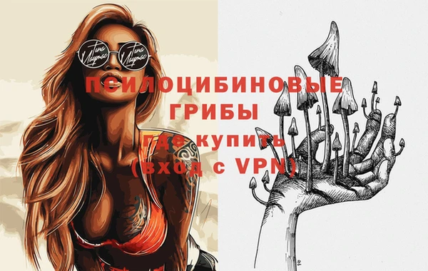 а пвп мука Алзамай