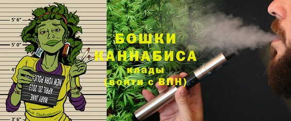 шишки Алексеевка