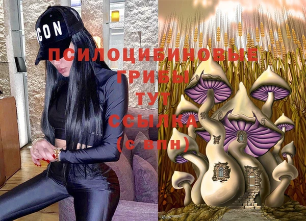 шишки Алексеевка