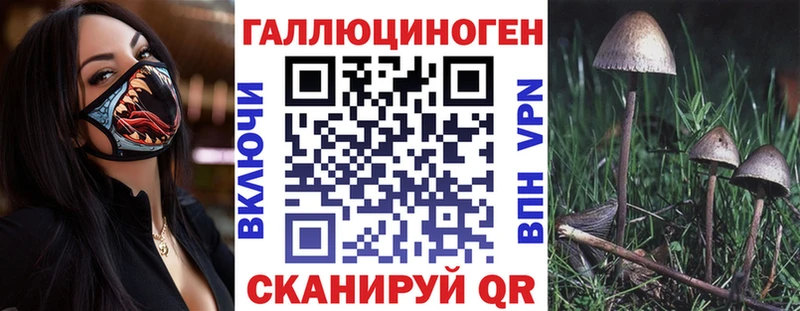 Псилоцибиновые грибы GOLDEN TEACHER  Артёмовск 